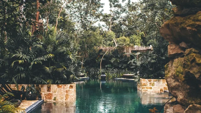 Hotel Bardo — adults-only design villas with private plunge pools in Tulum town