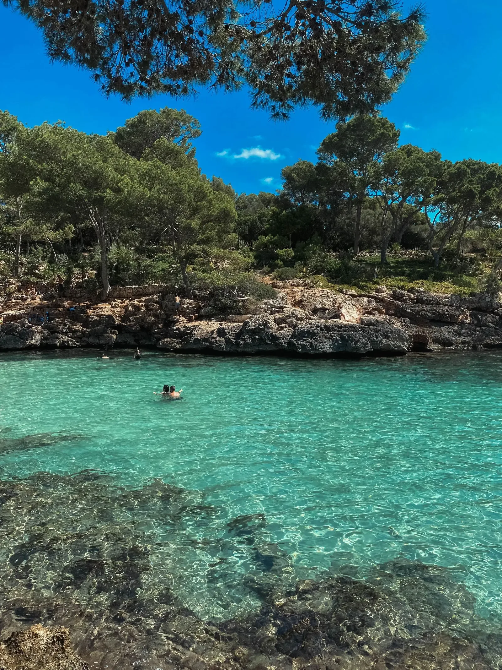 Turquoise bay and coastline, Majorca