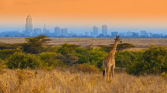 Nairobi — Africa flights hub