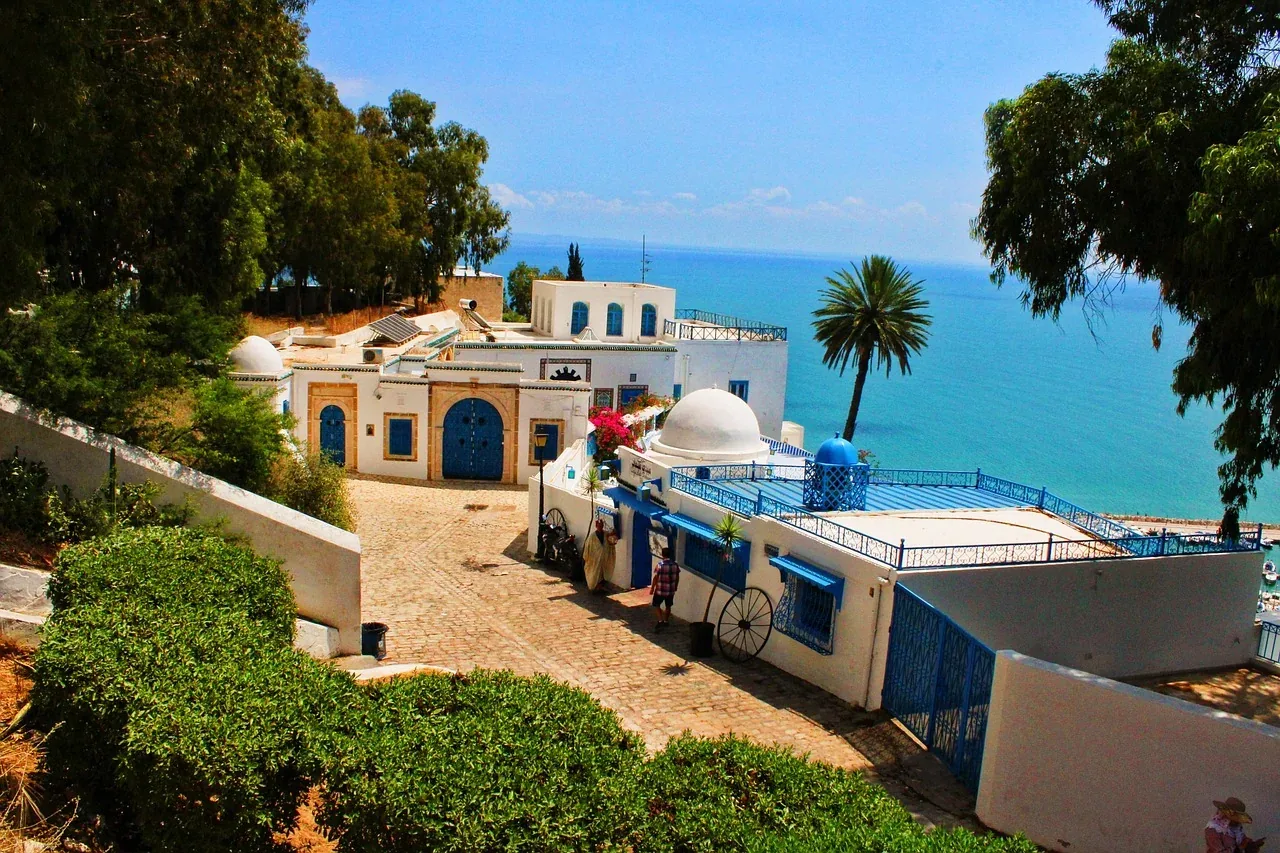 Sidi Bou Said blue-and-white village near Tunis